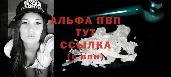 гашик Арсеньев
