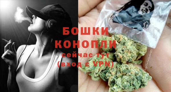 стафф Аркадак