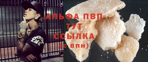 гашик Арсеньев