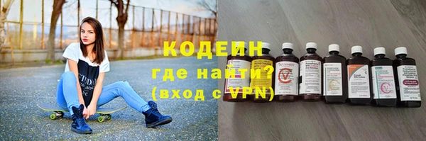 гашик Арсеньев