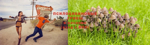 гашик Арсеньев