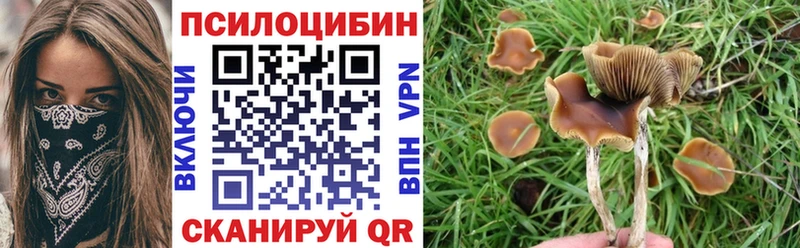 ссылка на мегу вход  Очёр  Псилоцибиновые грибы Psilocybe 